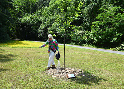 Faculty Tree Planting