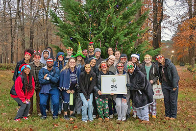 Holiday Tree Lighting