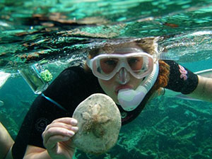 BIO 375/EES 250: Topics in Tropical Biology — Belize