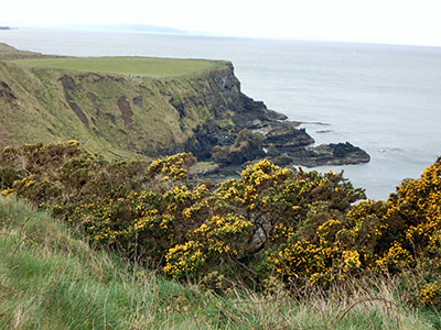 Giant's Causeway, Northern Ireland