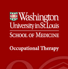 Washington University in St. Louis