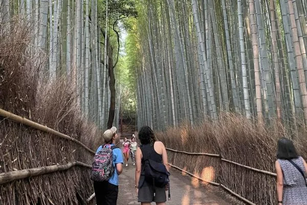 Lakeland University Japan campus