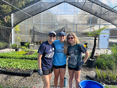 Environmental wellness event