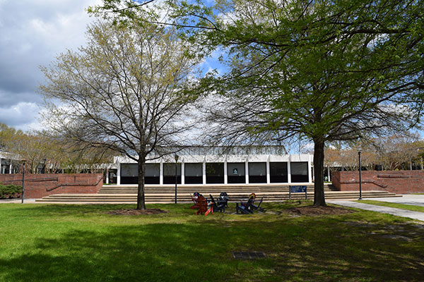Allen Village