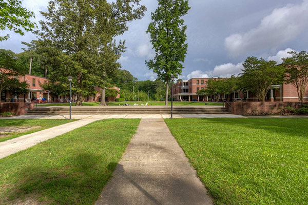 Brock Village