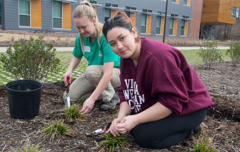 Special Care for Living Landscapes