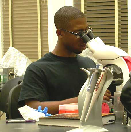 Deeper Understanding Through Undergraduate Research