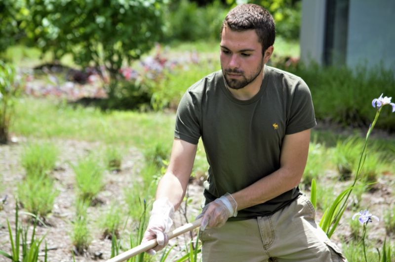 VWU Again Named Among Most Environmentally Responsible Universities