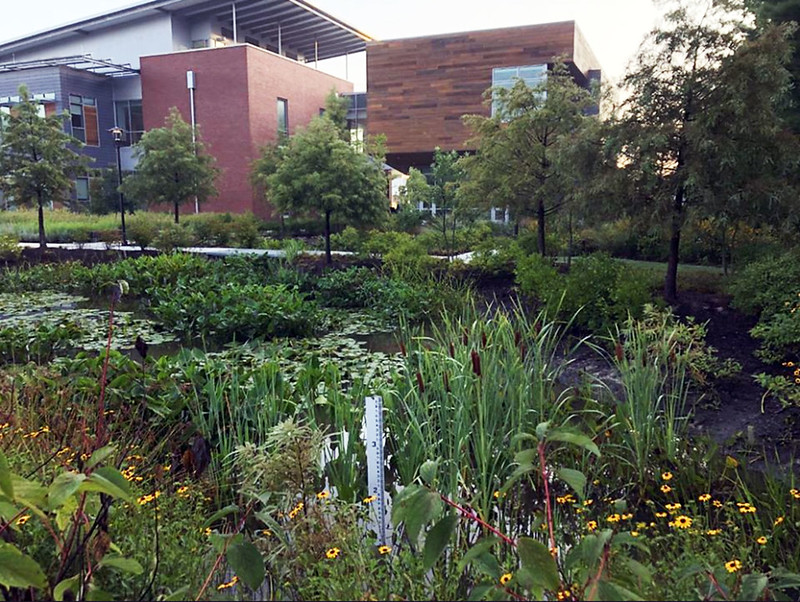 VWU Recognized by Elizabeth River Project