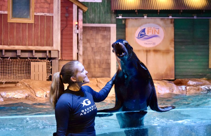 Emilee Caldbeck: Merging the Worlds of Psychology and Marine Conservation