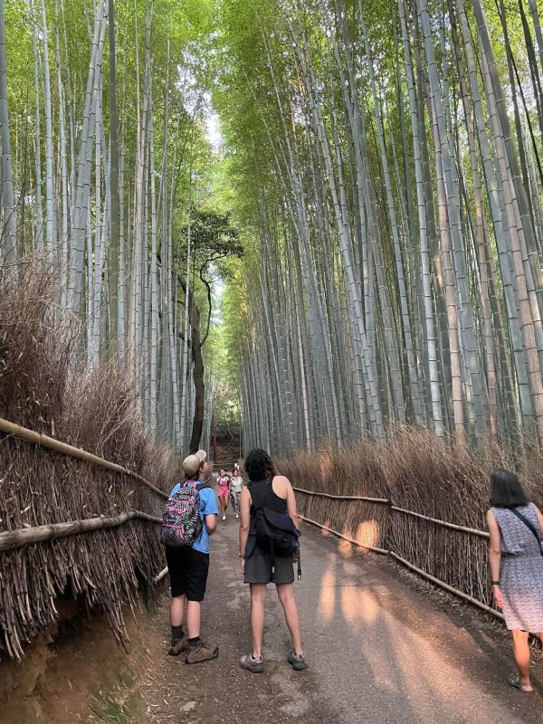 Exploring Urban Ecology in Japan