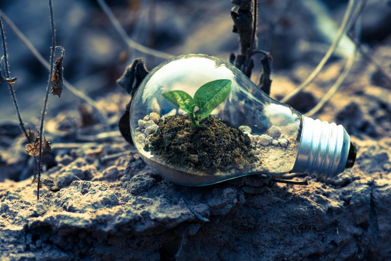Celebrating Earth Week 2025 with Action and Purpose