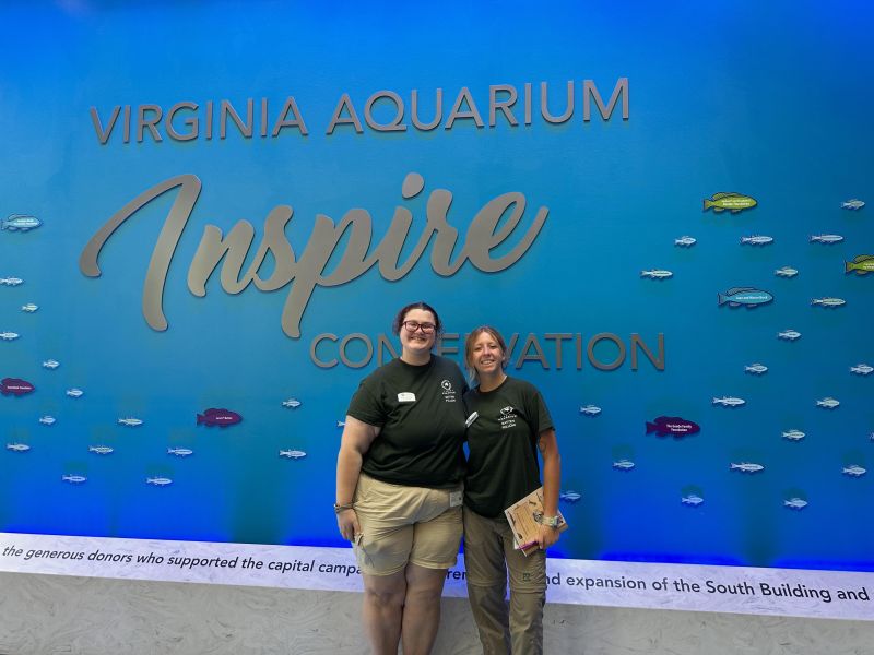 Virginia Aquarium’s Batten Fellowships: Where the Environment and Education Converge