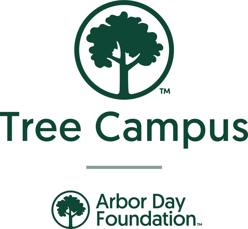 VWU Earns 2026 Tree Campus Recognition