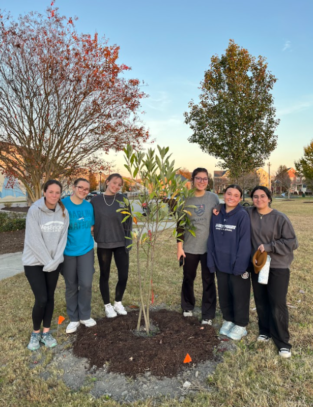VWU Receives Prestigious 2026 Carnegie Community Engagement Classification