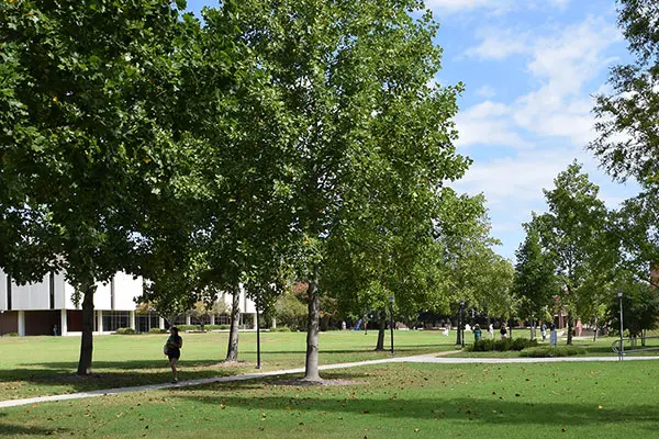 Students at Marlins Day Open House